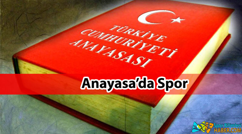 Türk Spor Teşkilatlanması